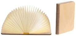 LEDR Book Lamp Medium