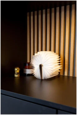 LEDR Book Lamp Medium 14 LEDR Book Lamp Medium -Camping En Plein Air ledr book lamp medium maple m maple 2