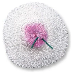 Primus Mantle For LP Gas Lanterns 3pc