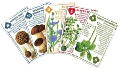 Wilderniskaarten Wilde Eetbare Flora Set Cartes à Jouer -Camping En Plein Air wilderniskaarten wilde eetbare flora set speelkaarten 1